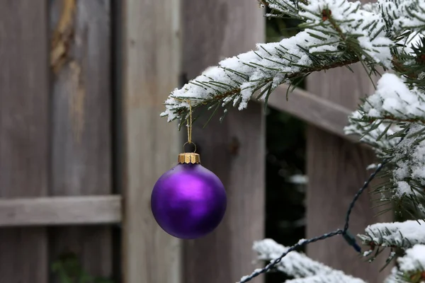 Purple Christmas ball hanging on the fir — Stock Photo, Image