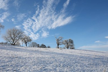 Karlı tarlaları ve mavi gökyüzü olan kış manzarası.