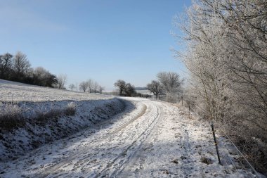 Karlı tarlaları ve mavi gökyüzü olan kış manzarası.