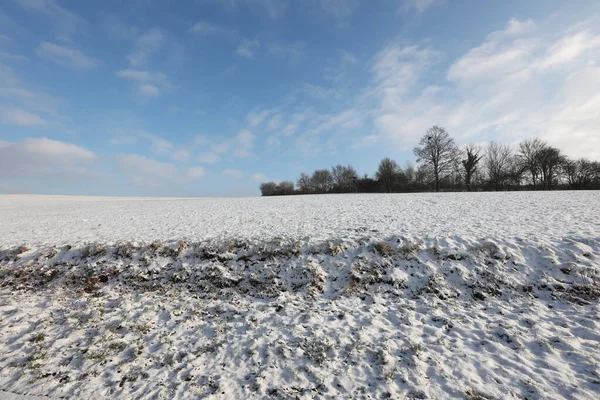 Winterlandschap Met Besneeuwde Velden Blauwe Lucht — Stockfoto