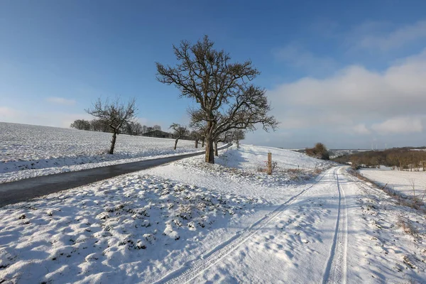 Зимний Пейзаж Снежными Полями Голубым Небом — стоковое фото