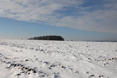 Açık bir kış gününde karla kaplı tarlalar.