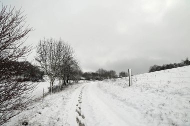 Soğuk bir kış sabahında tarlalar ve çayırlar.