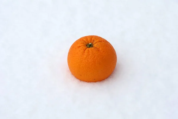 Apelsiner Ligger Snön Mogna Frukter — Stockfoto