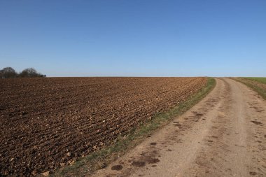 Baharda tarlanın yanındaki yol..