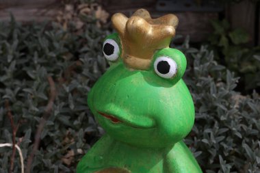 Bahçedeki bitkilerin arasında süslü kurbağa prenses..