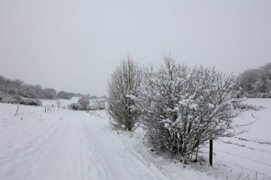 Soğuk bir kış sabahında tarlalar ve çayırlar.