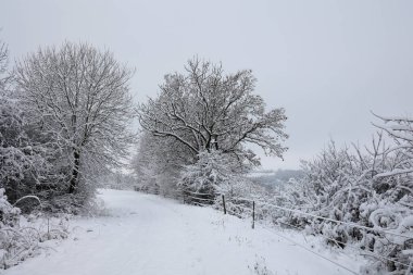 Soğuk bir kış sabahında tarlalar ve çayırlar.