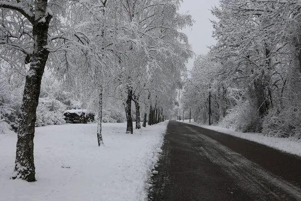 晴朗的冬日 雪地的道路 — 图库照片
