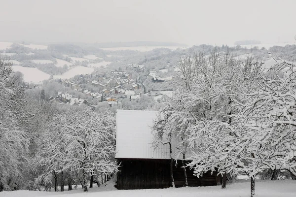 Nieve Blanca Fresca Yace Las Ramas Los Arbustos — Foto de Stock