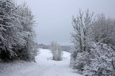 Soğuk bir kış sabahında tarlalar ve çayırlar.
