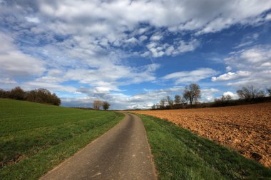 Baharda ekili tarlalar ve mavi gökyüzü.