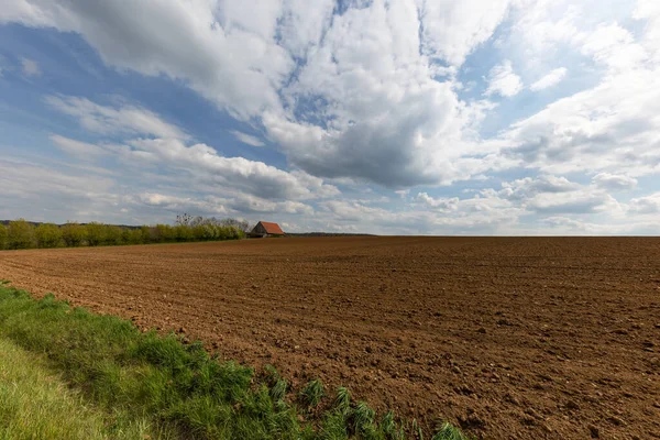 Spring landscape with arable land and meadows.