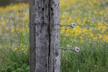 Bir çayırın etrafındaki elektrikli tel örgüyü kapatın..