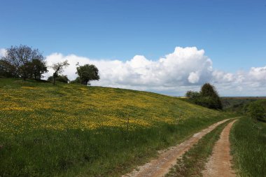 Çiçekli çayırlar ve çayırlarla dolu bahar manzarası.