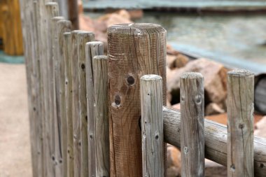 Gri ahşap çitler parkı kapatıyor.