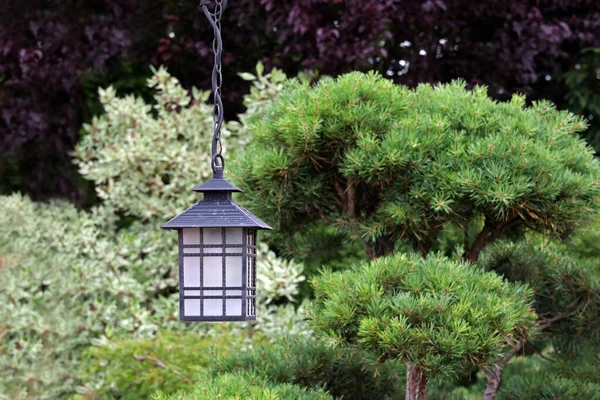 Beautiful Street Lamp Garden Close — Stock Photo, Image