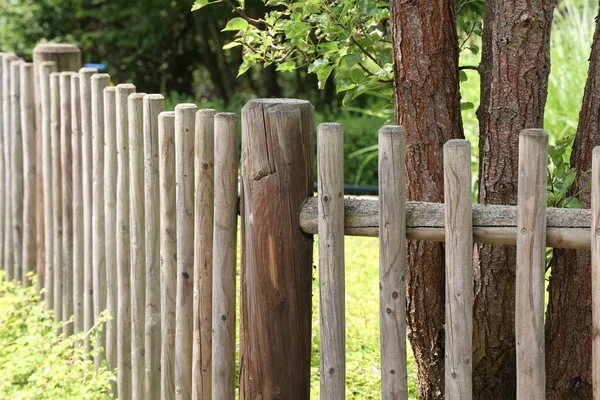 Clôture Bois Gris Près Dans Parc — Photo