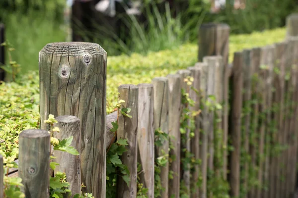 Gray wooden fence close up in the park.