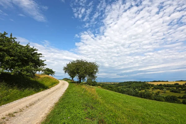 Sommarlandskap Med Åkrar Och Ängar Klar Dag — Stockfoto