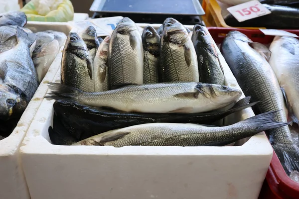 Różne ryby morskie na targu rybnym w Chorwacji — Zdjęcie stockowe