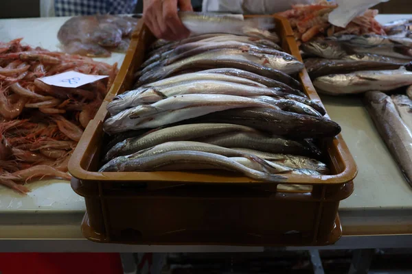 Verschillende Zeevissen Een Vismarkt Kroatië — Stockfoto