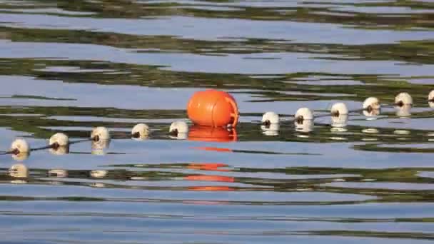 Boyas en el agua en el mar — Vídeos de Stock