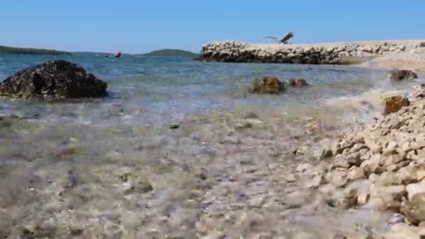 Des vagues de mer éclaboussent sur une plage rocheuse — Video