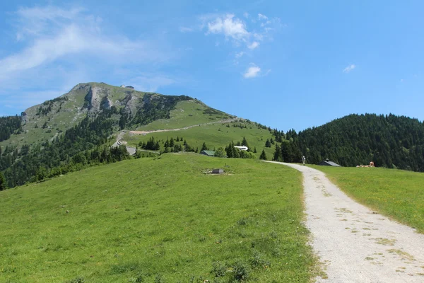 Schafberg, Oostenrijkse Alpen — Stockfoto