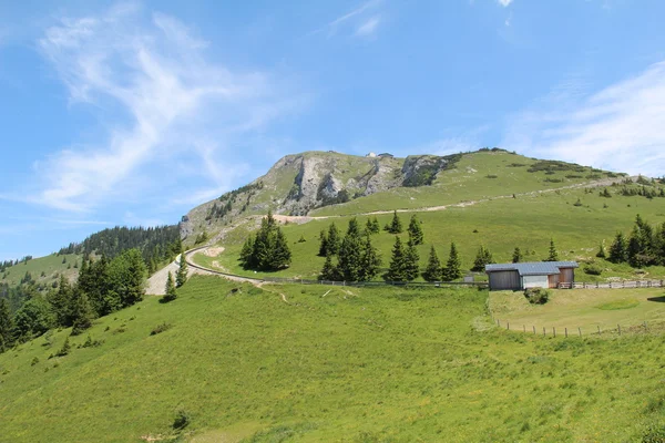 Schafberg, Oostenrijkse Alpen — Stockfoto
