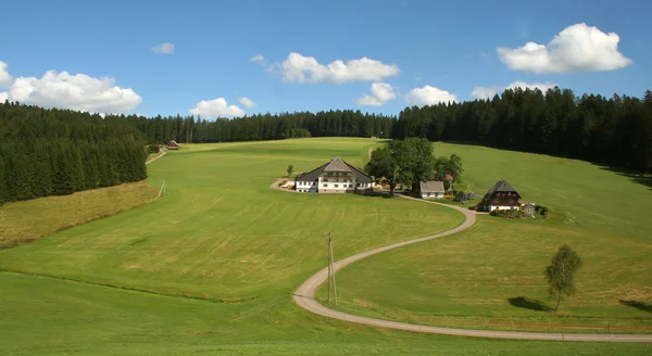 Schwarzwald / Foresta nera — Foto Stock