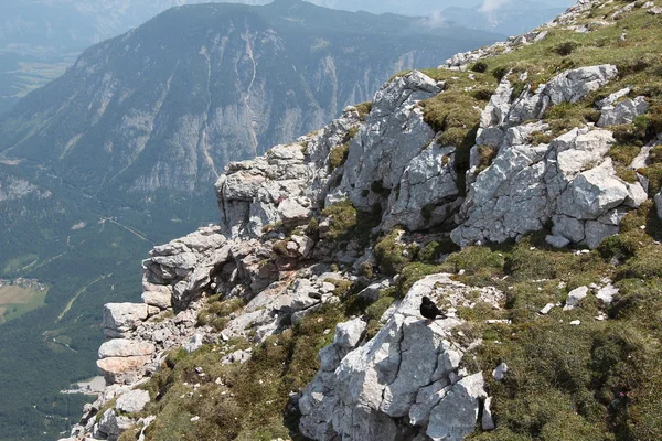 Dachstein
