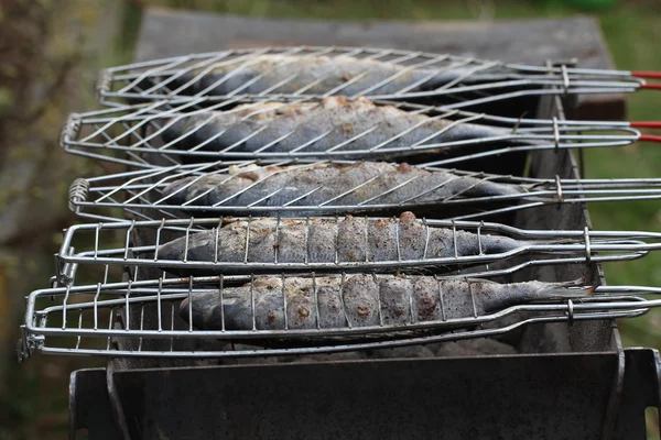 Parrilla de pescado —  Fotos de Stock