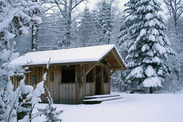 Winter Landscape — Stock Photo, Image