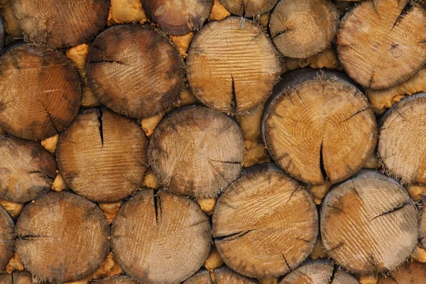 Wall of wooden chocks — Stock Photo, Image
