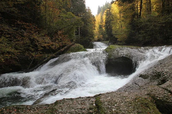 Flusso di montagna attraverso la foresta — Foto Stock