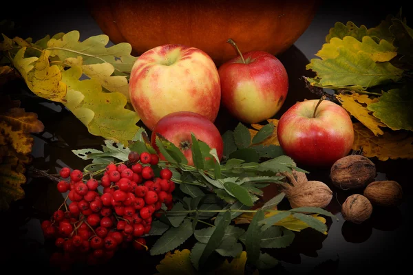 Bodegón de otoño con calabaza y manzanas — Foto de Stock