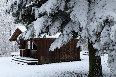 Ormanda bir kulübe ile kış manzarası.