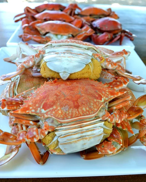 Buharda pişmiş Yengeç deniz ürünleri