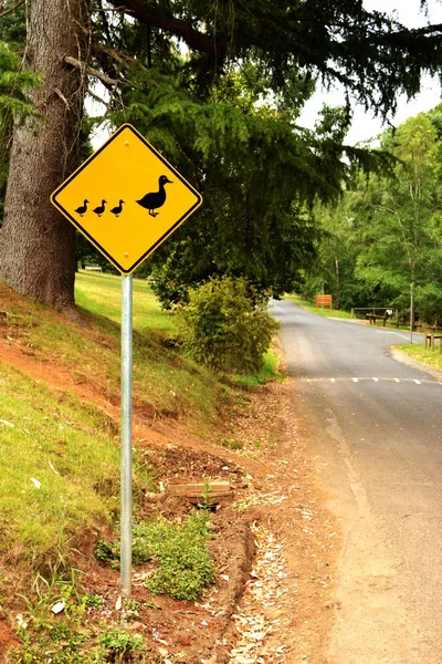 Give way sign for duck — Stock Photo, Image