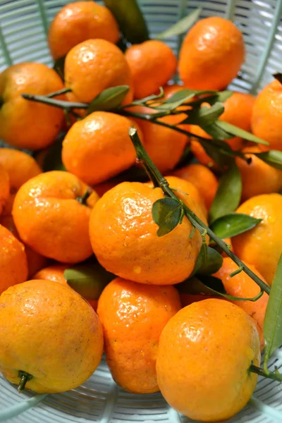 Fresh small orange — Stock Photo, Image