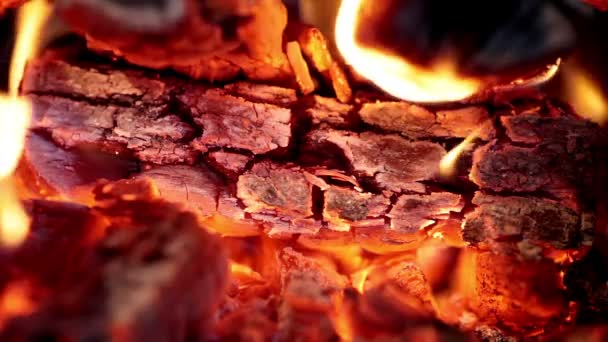 Imagem de perto da lareira e queima de madeira — Vídeo de Stock