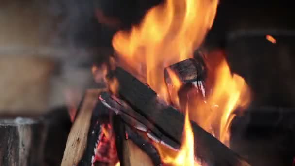 Imagem de perto da lareira e queima de madeira — Vídeo de Stock