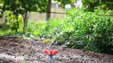 Bahçe ekipmanları sulama.