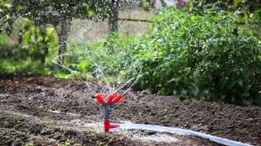 Bahçe ekipmanları sulama.