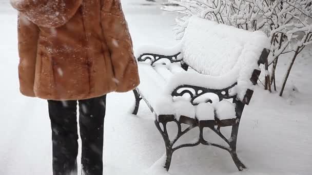 Kvinnan promenad i snön i närheten bänk i parken, vintern — Stockvideo