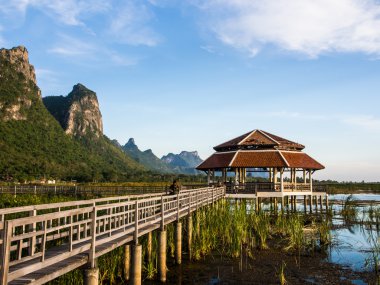 Köşk ve bataklık köprü