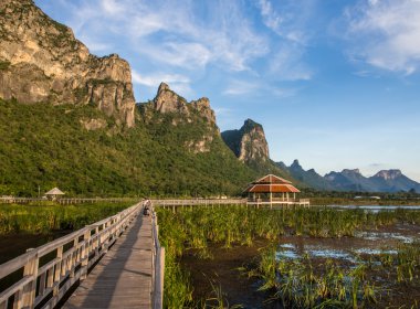Köşk ve bataklık köprü