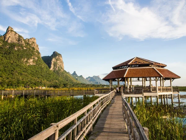 Pavilhão e ponte através do pântano — Fotografia de Stock