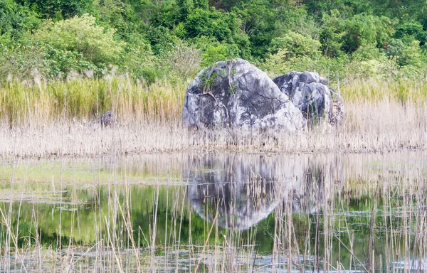 Stone with reflection — Stock Photo, Image